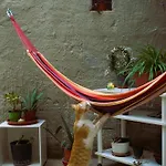 Apartmán Ninetta *