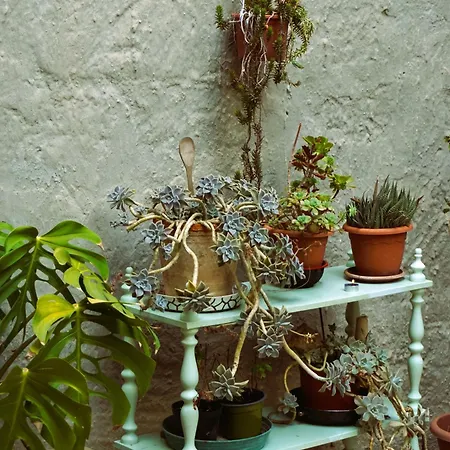 Ninetta Апартаменты